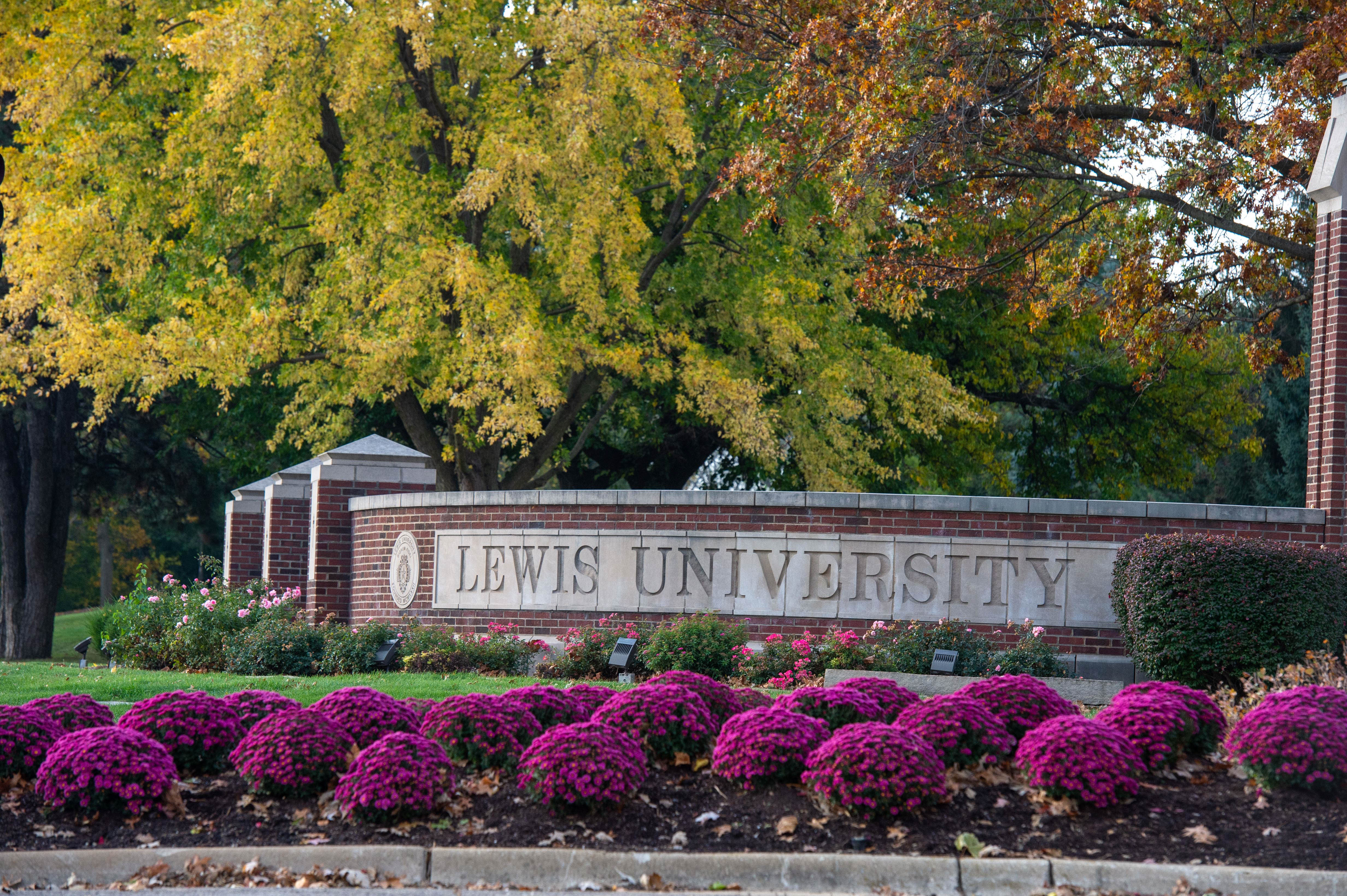 university entrance